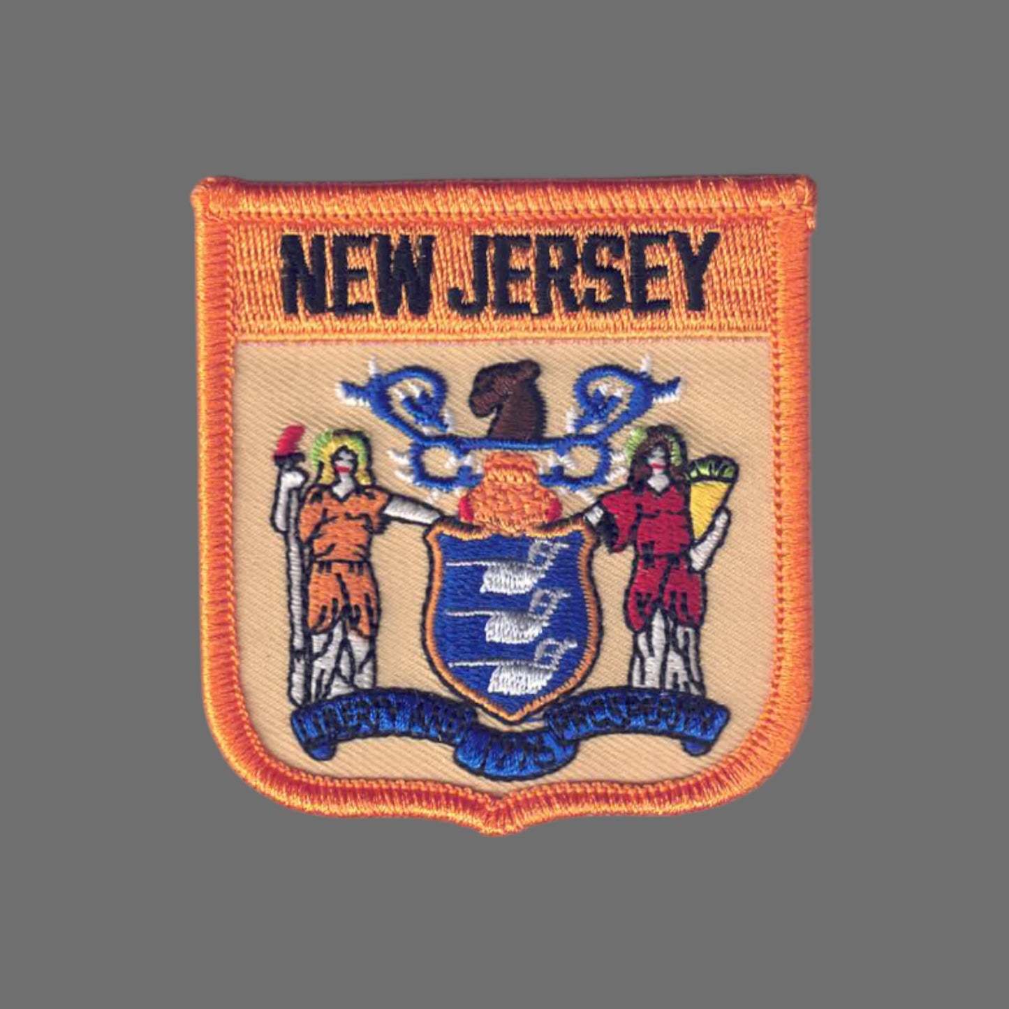 NEW JERSEY Med Flag Shield Patch - 2505