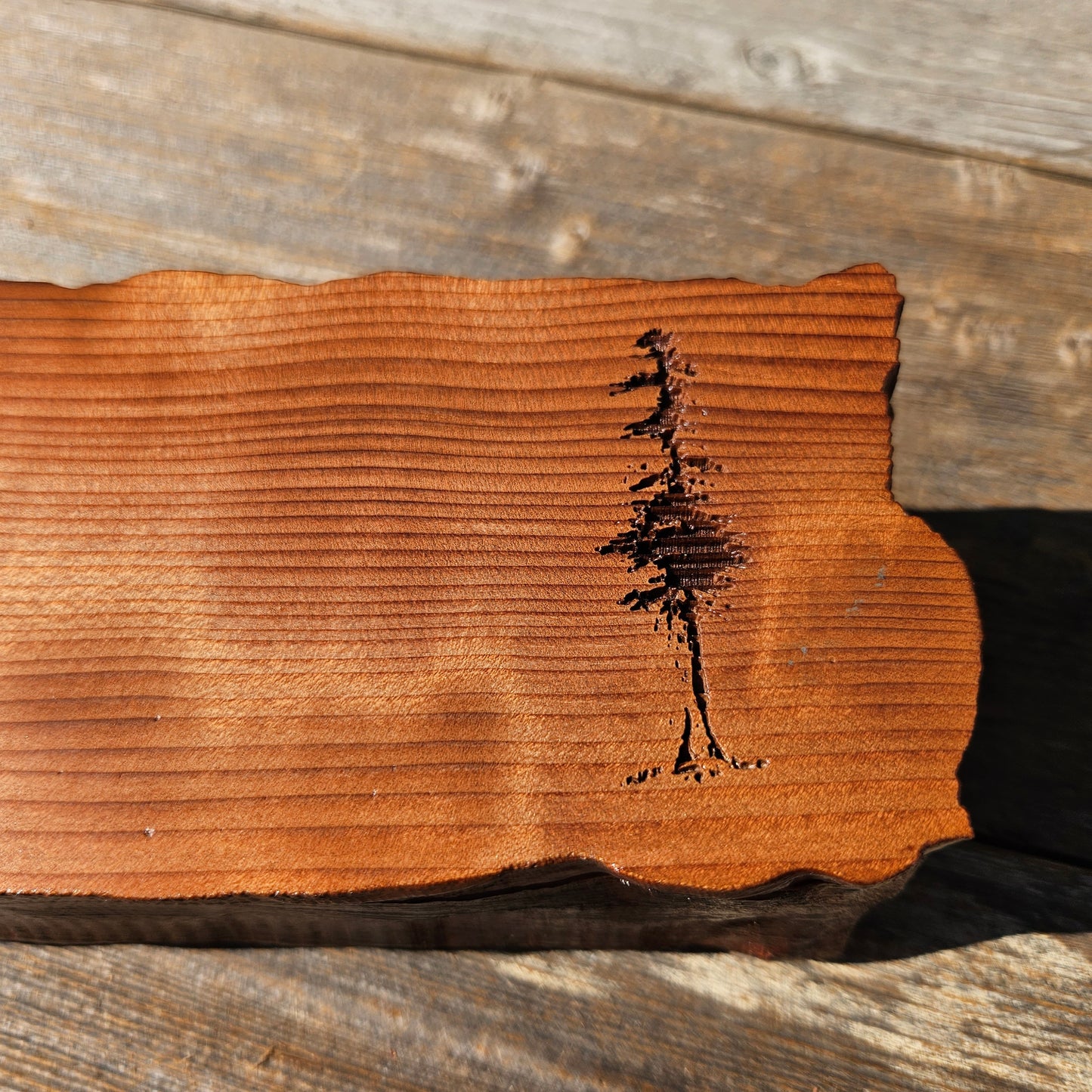 Handmade Wood Box with Redwood Tree Engraved Rustic Handmade Curly Wood #600 California Redwood Jewelry Box Storage Box