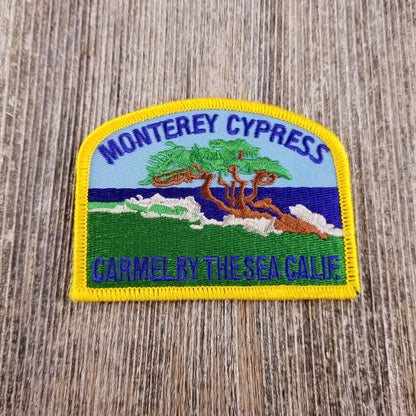 MONTEREY CYPRESS Carmel Patch - CARMEL-14