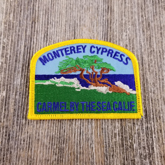 MONTEREY CYPRESS Carmel Patch - CARMEL-14
