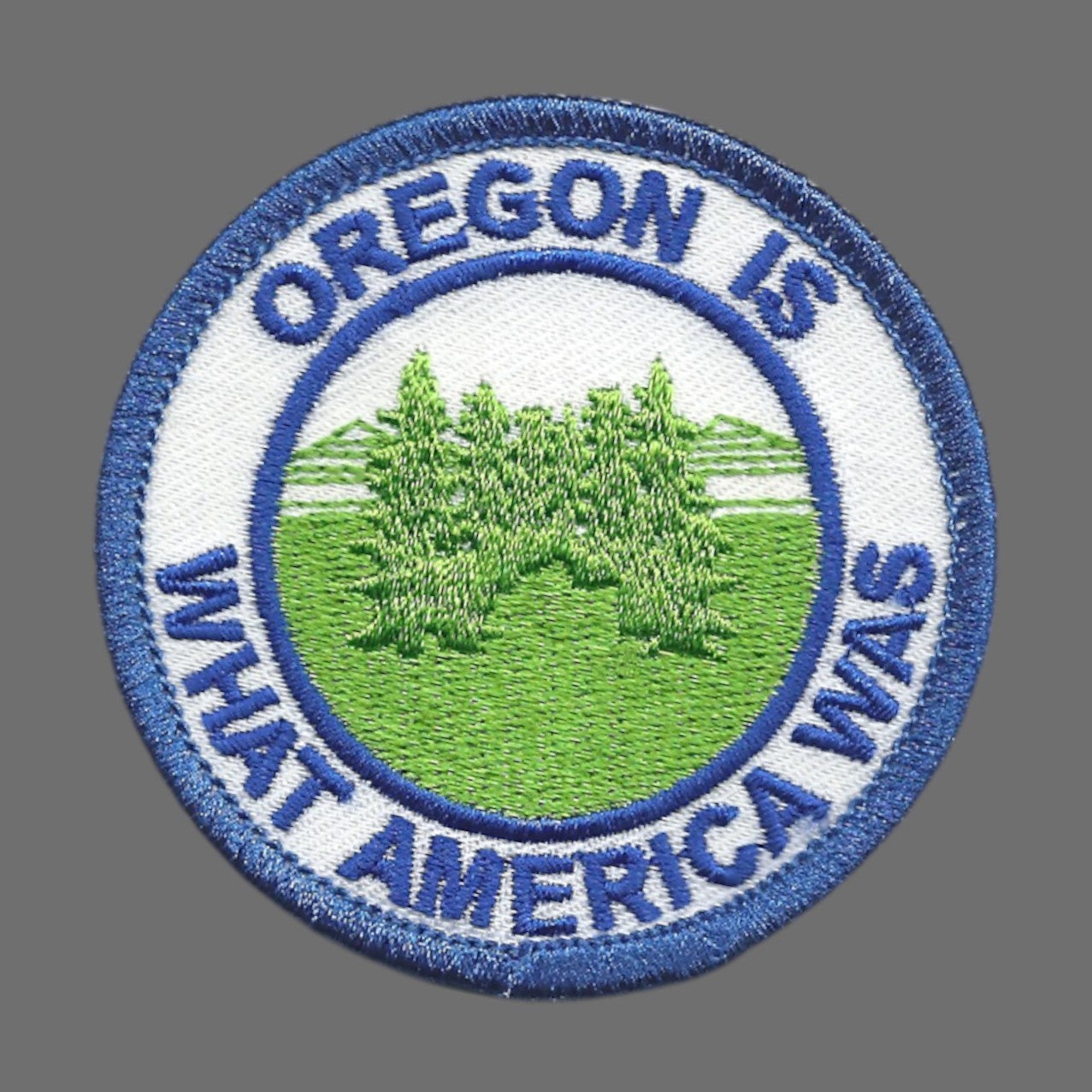 Oregon Is What America Was Souvenir Patch - OR-48