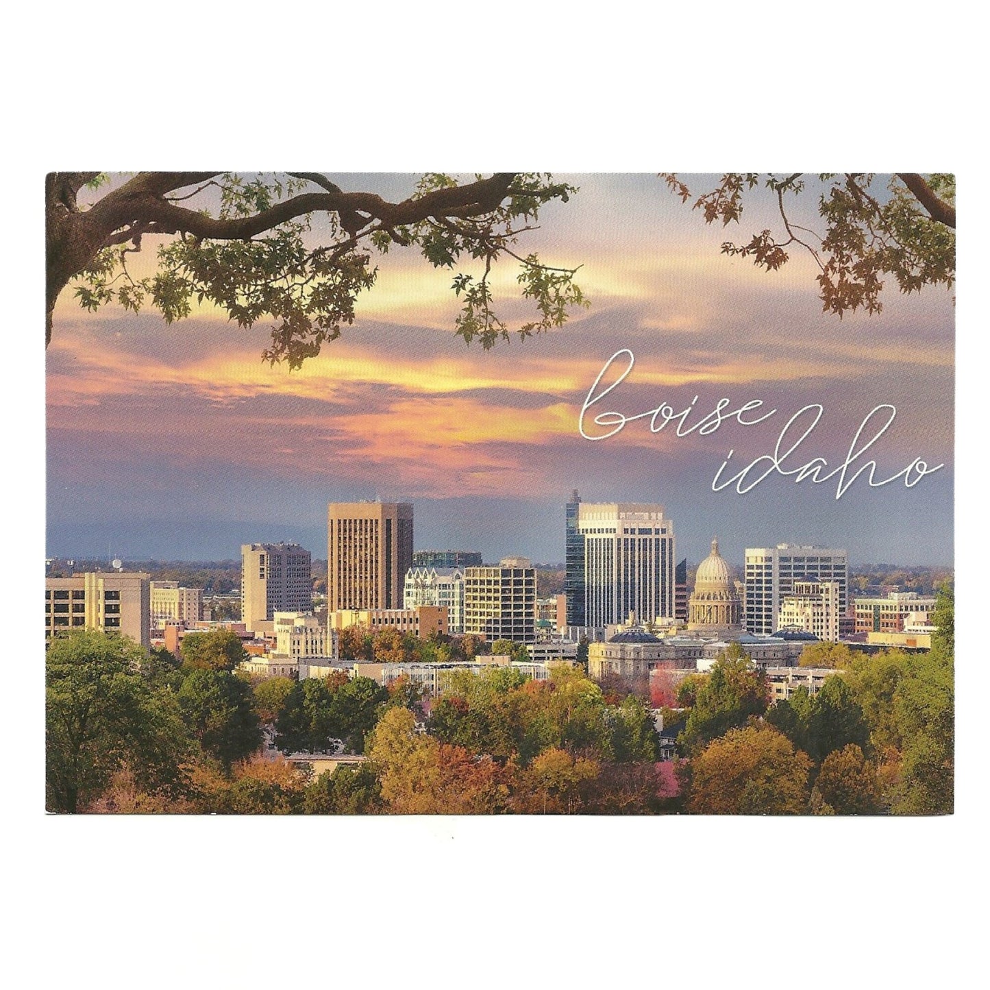 Boise Idaho Postcard 4x6 City Skyline Buildings - Great for Crafting - Decoupage - Scrapbooking Supply