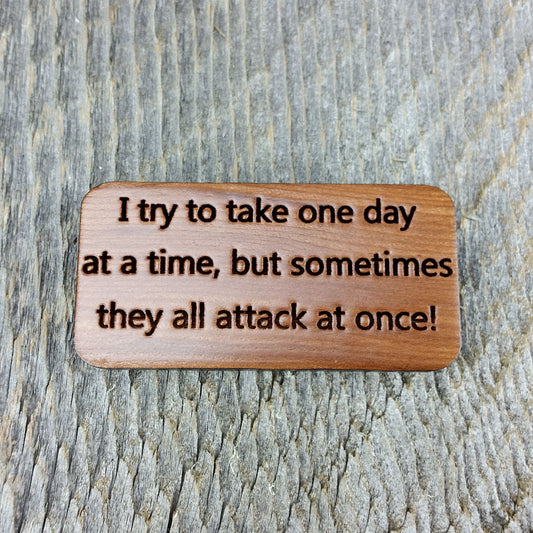 Funny Wood Fridge Magnet I Try To Take One Day... USA Refrigerator Humor